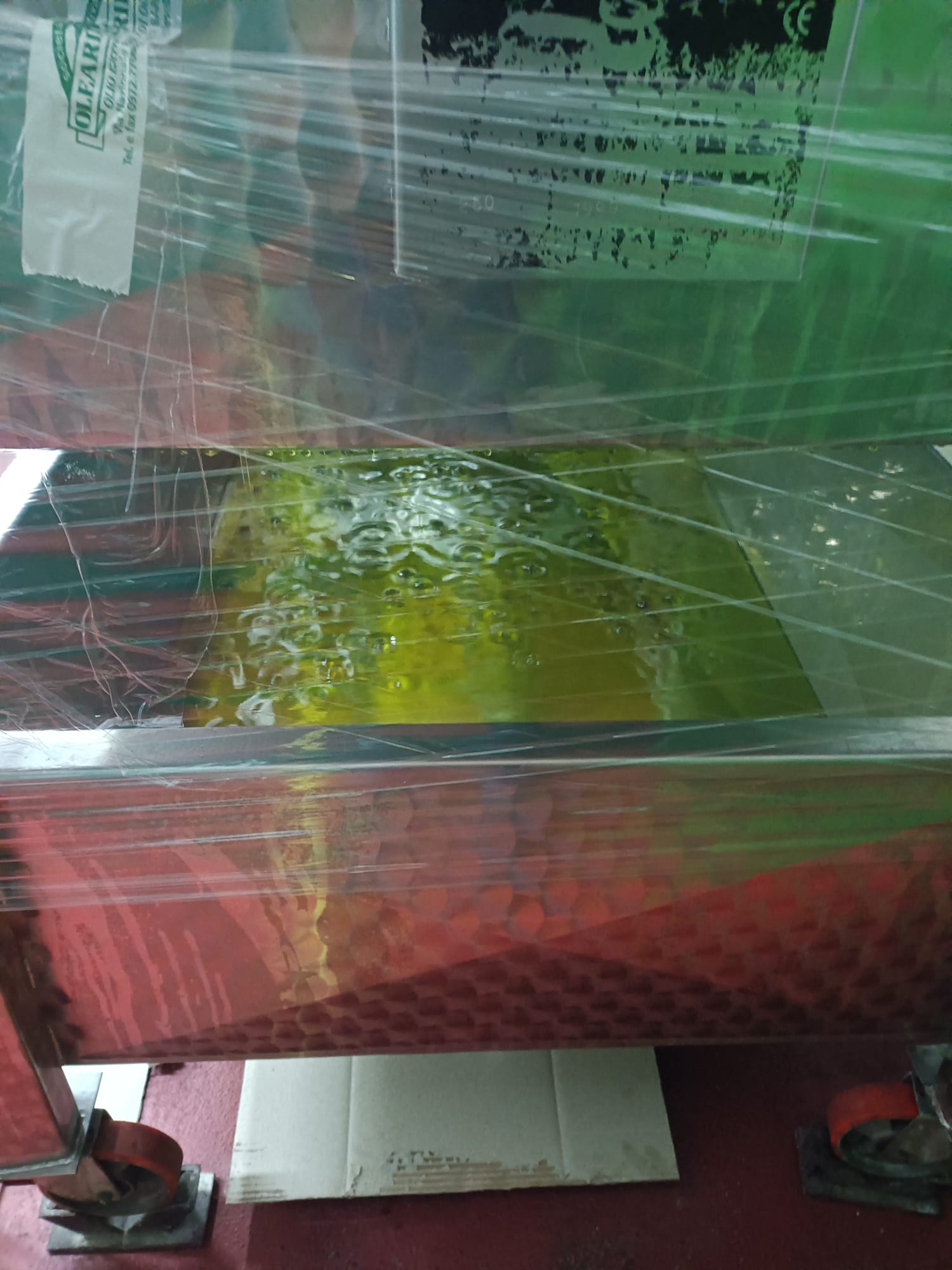 Olio filtrato o non filtrato: differenze, sapore e quale scegliere