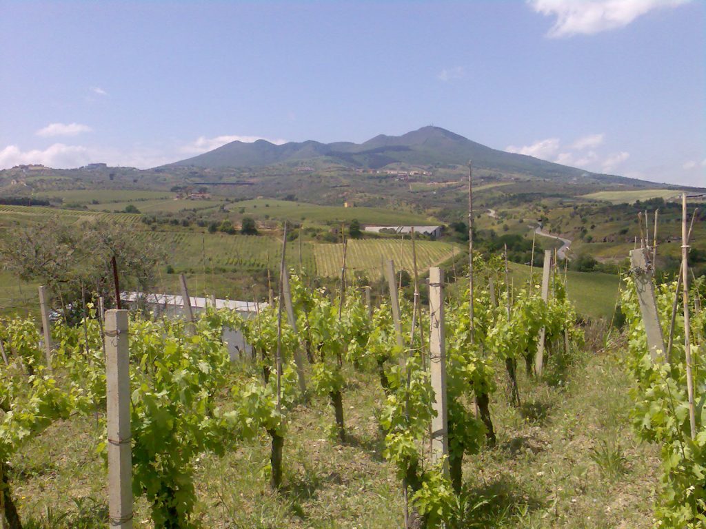 Vigneti del Monte Vulture — territorio Città Italiana del Vino 2026, Basilicata