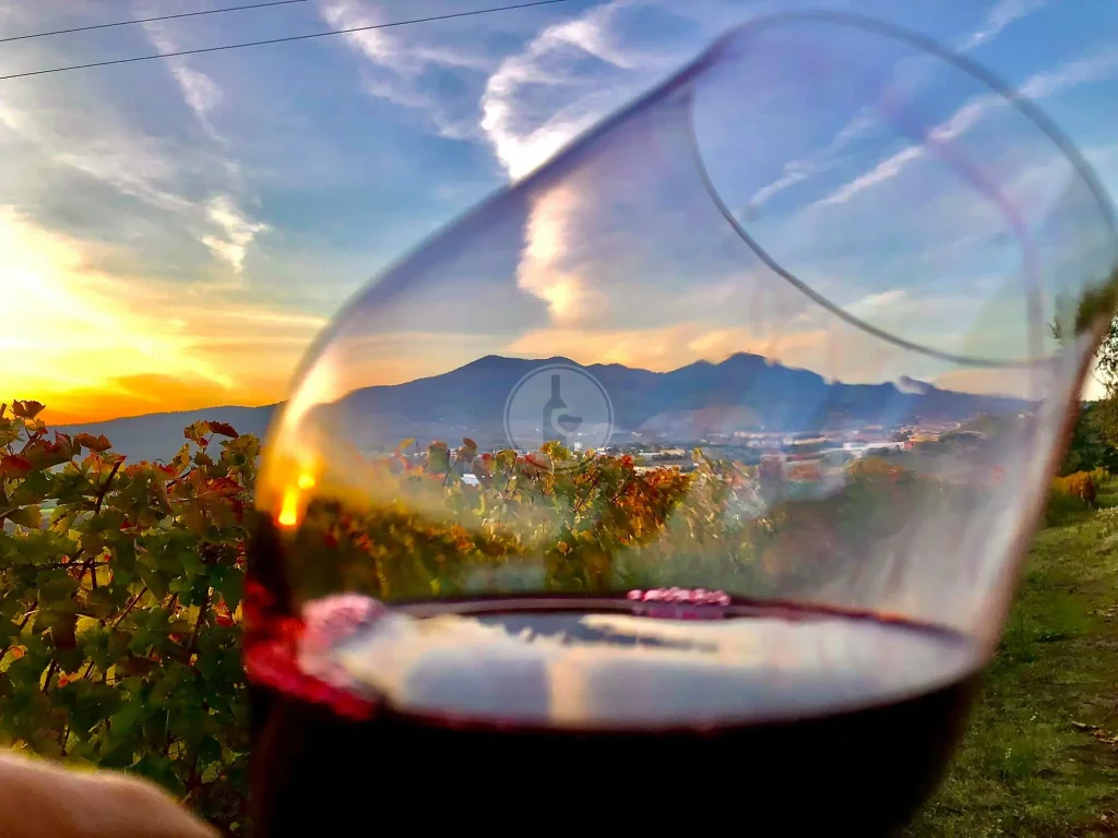 Aglianico del Vulture prezzo acquisto diretto produttore Barile Basilicata