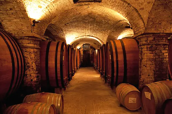 vetusto aglianico vulture docg invecchiamento rovere barile
